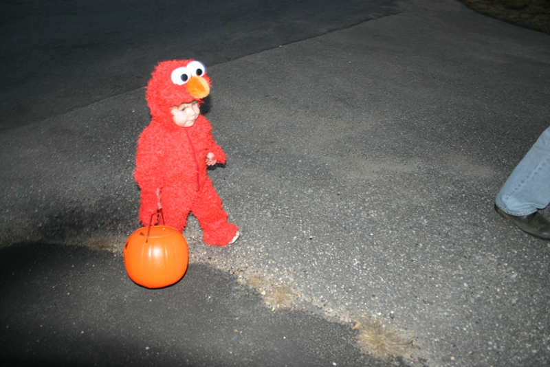 Picture 8206
