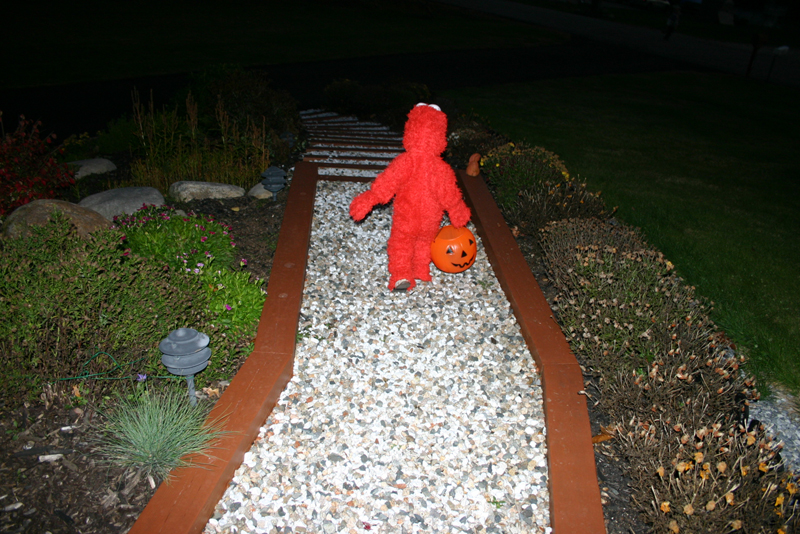 Picture 8213