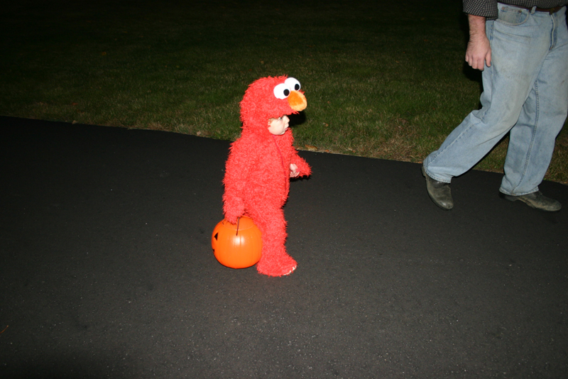 Picture 8214