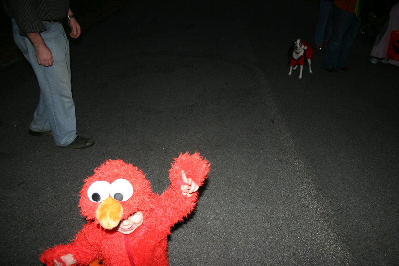 Picture 8216