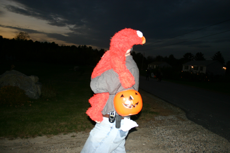 Picture 8217