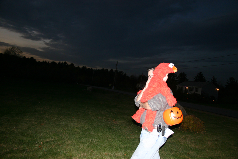 Picture 8218
