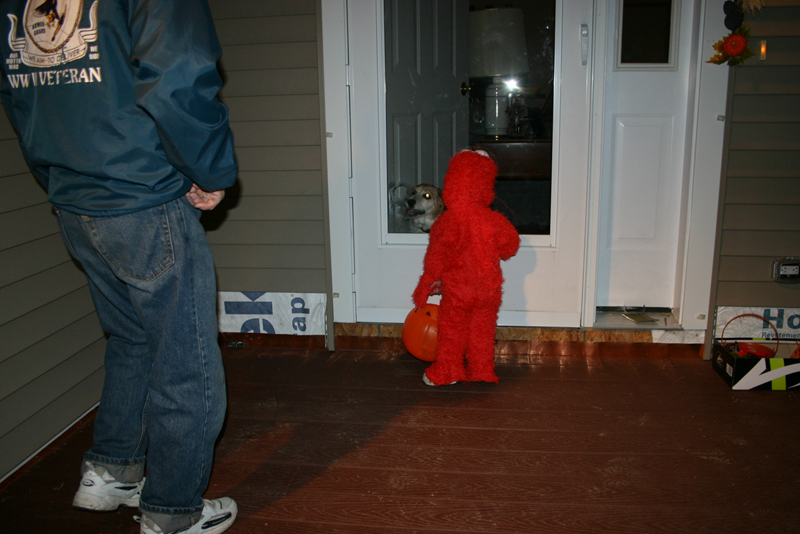 Picture 8223