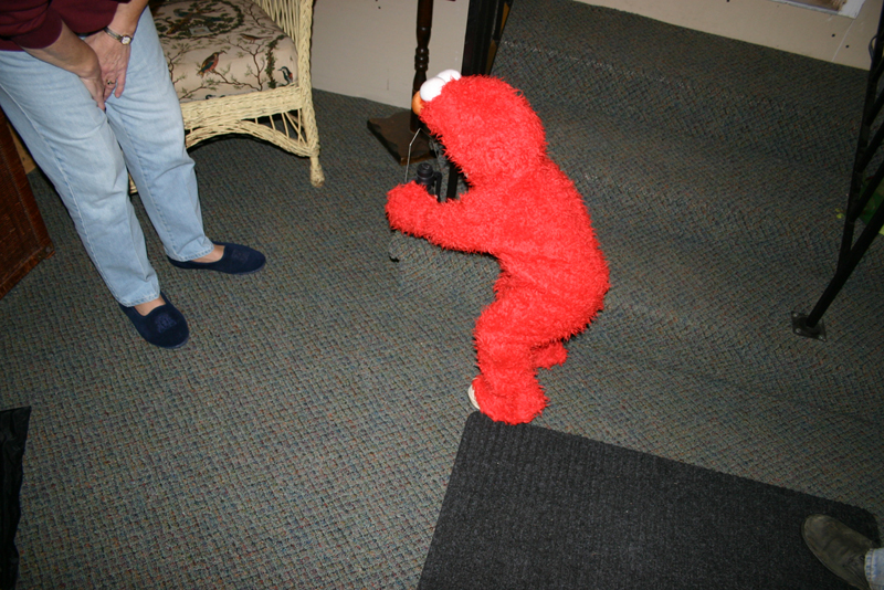Picture 8224