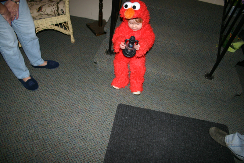 Picture 8225