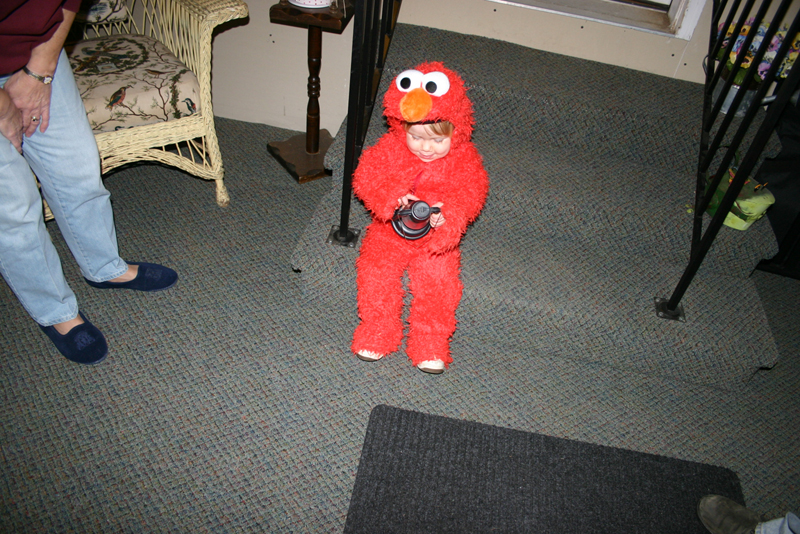 Picture 8226