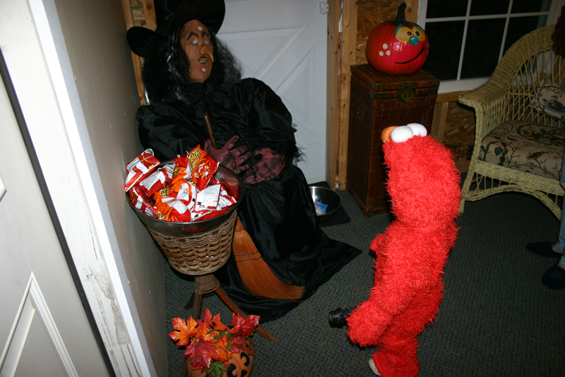Picture 8228