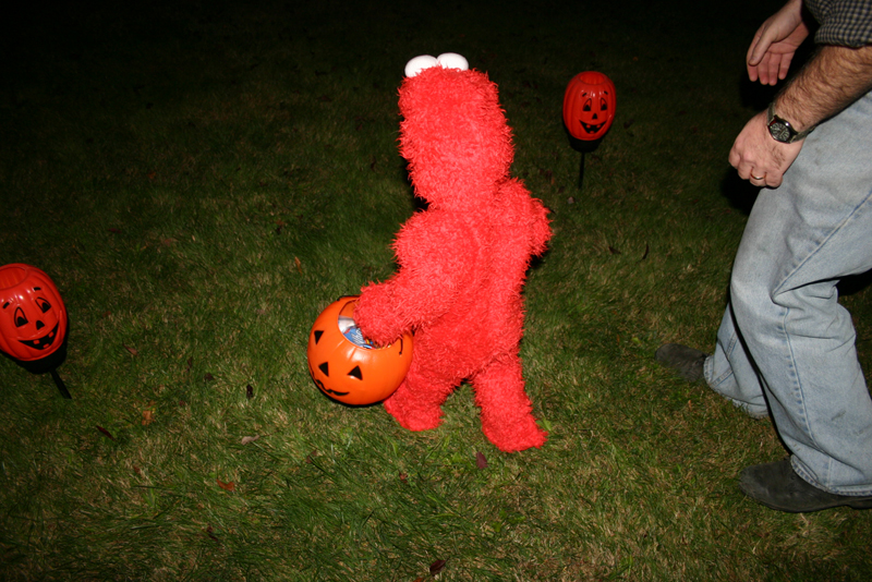 Picture 8231