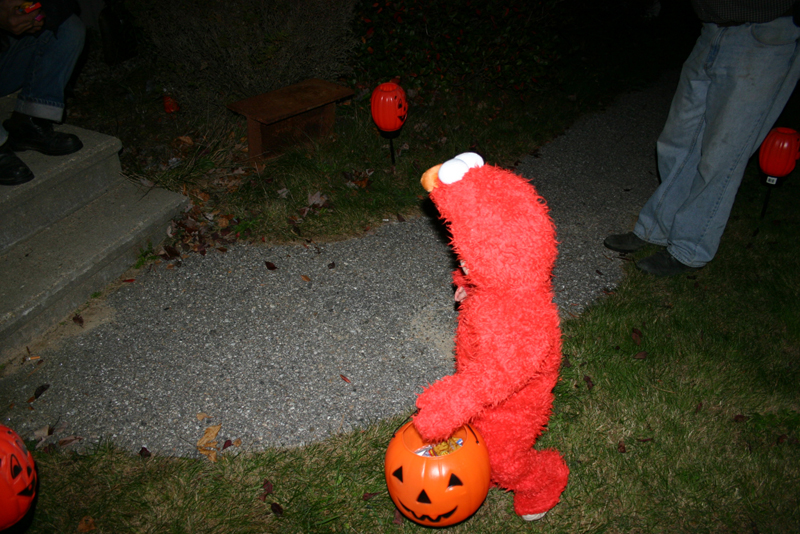 Picture 8232