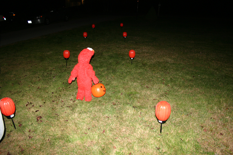 Picture 8233