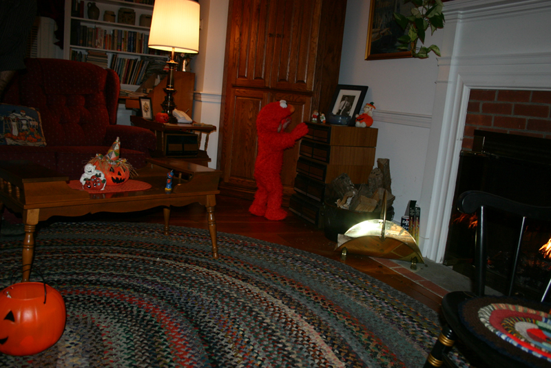 Picture 8153