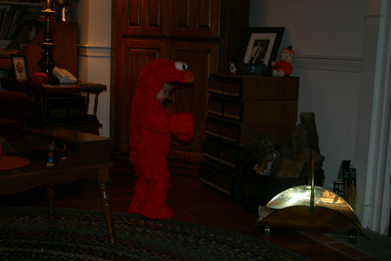 Picture 8155