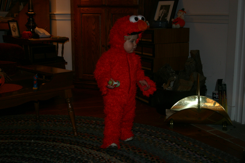 Picture 8156