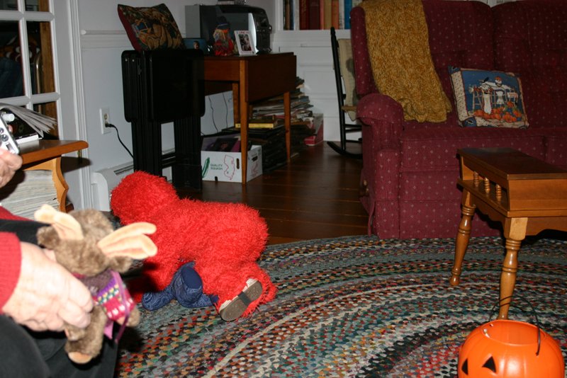 Picture 8161