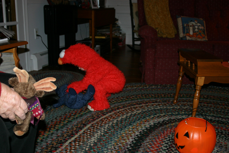 Picture 8162