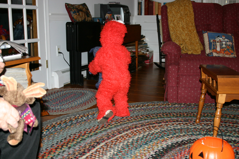 Picture 8163