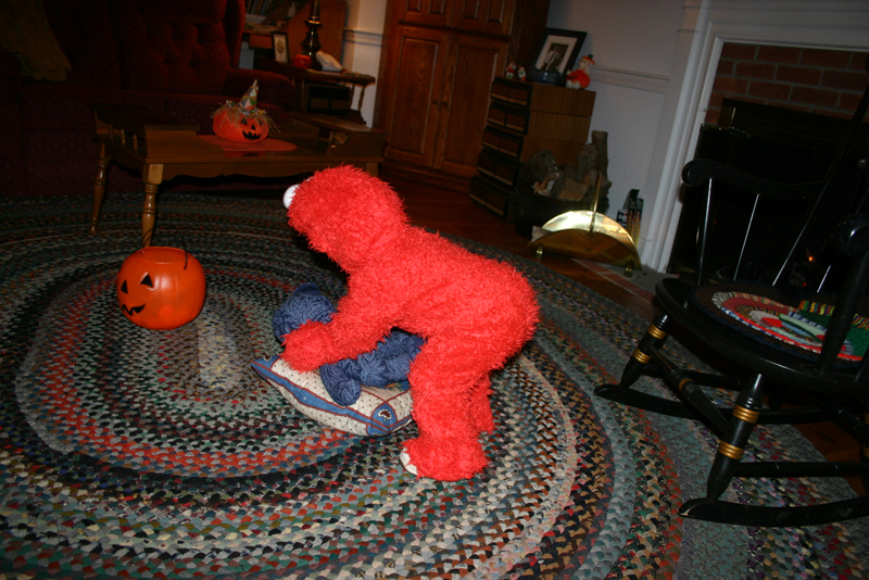 Picture 8168