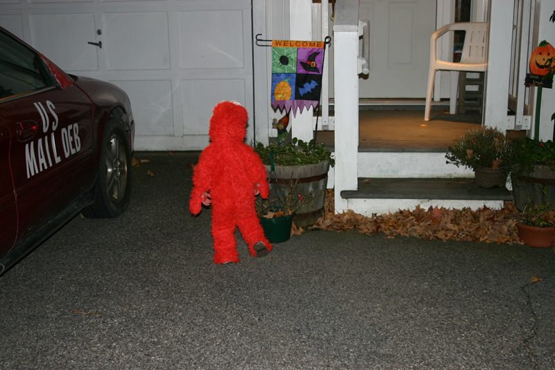 Picture 8171