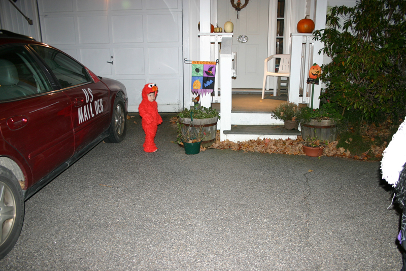 Picture 8173
