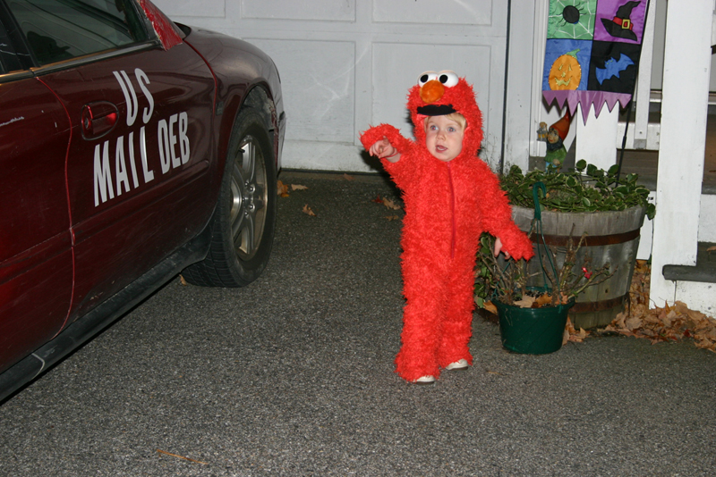 Picture 8174