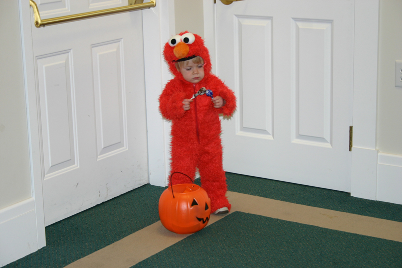 Picture 8176