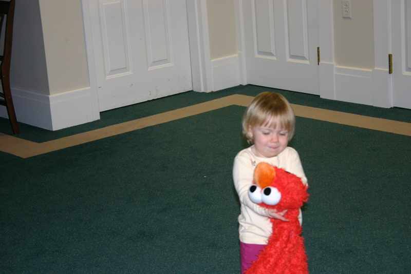 Picture 8181