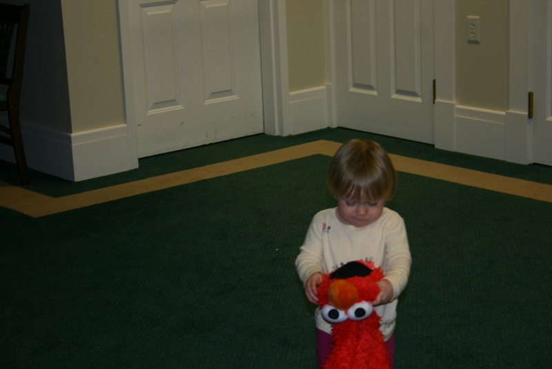 Picture 8183
