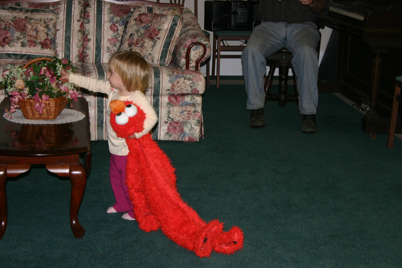 Picture 8186