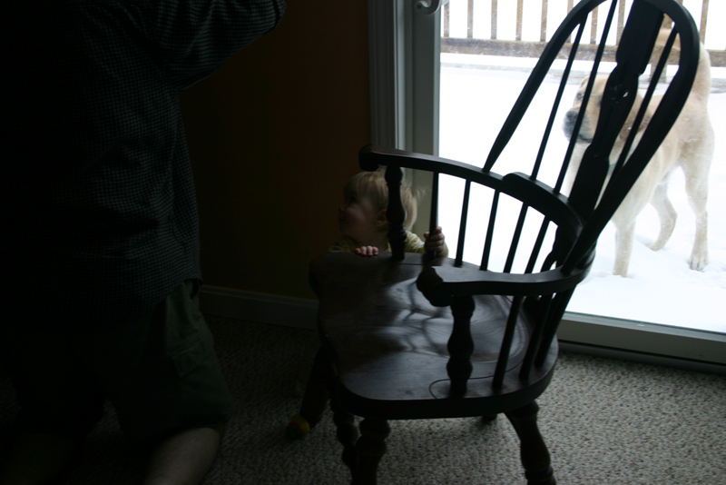 Picture 394