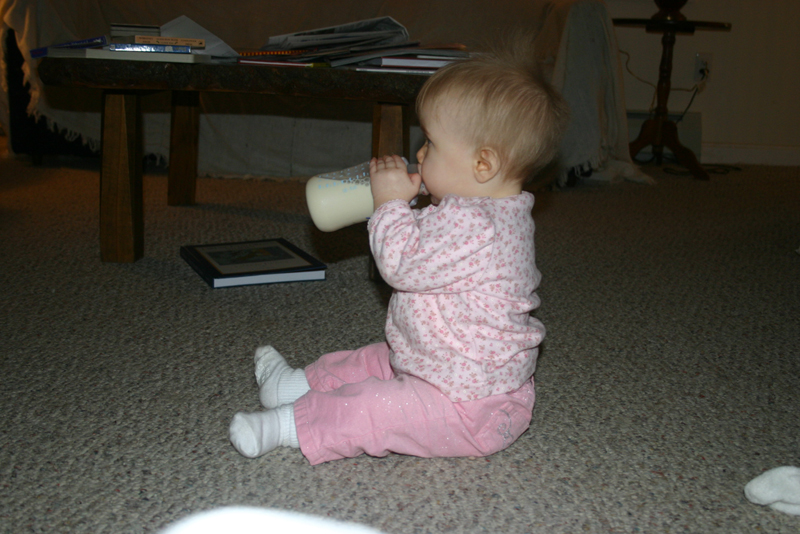 Picture 1221