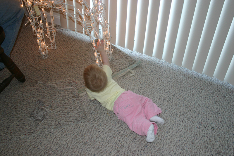 Picture 1234