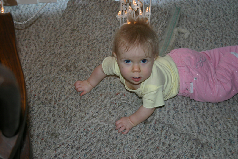 Picture 1236