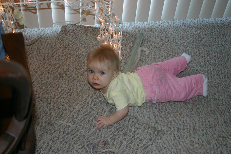 Picture 1238