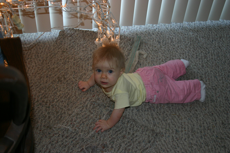Picture 1239