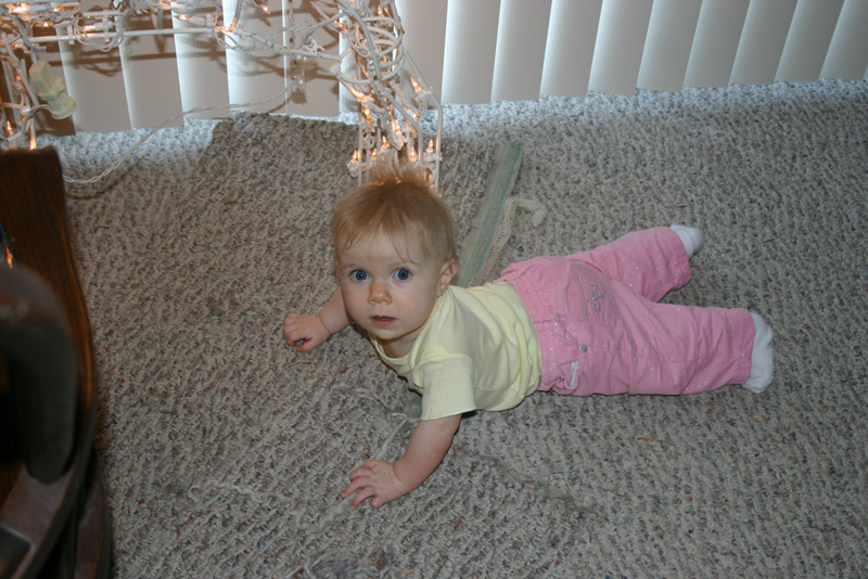 Picture 1241