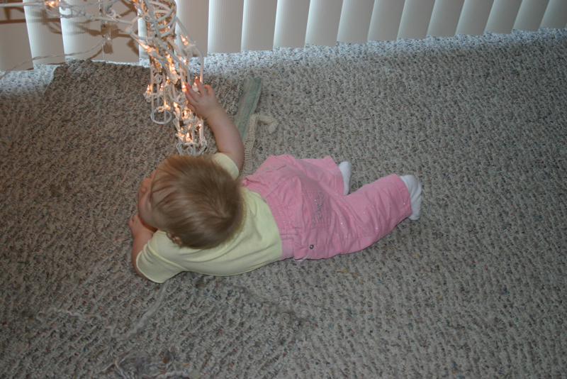 Picture 1246