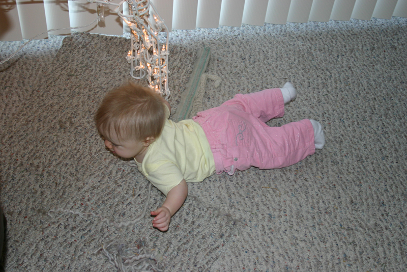 Picture 1247
