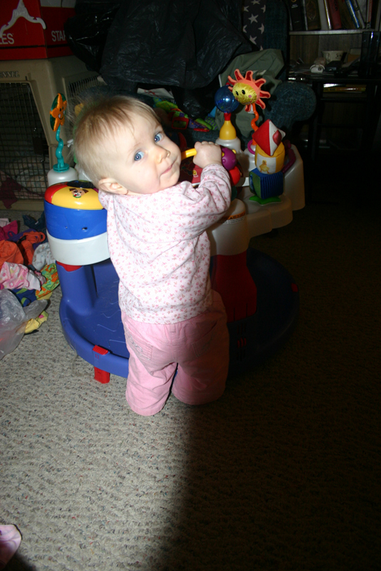 Picture 1263