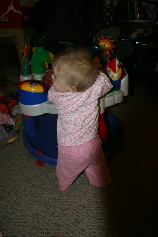 Picture 1264