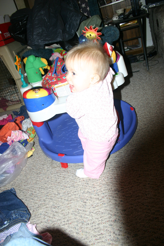 Picture 1267