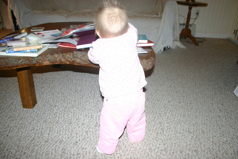 Picture 1268