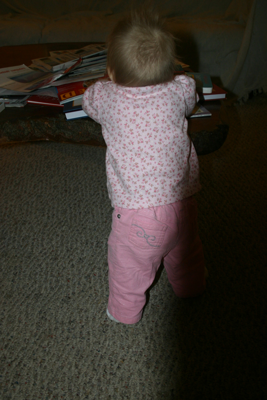 Picture 1269