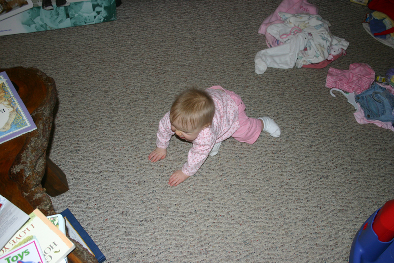 Picture 1272