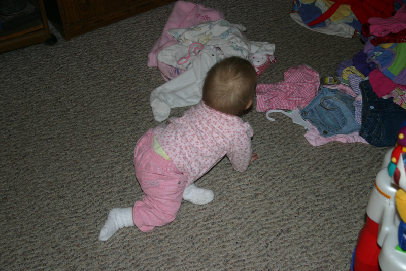 Picture 1273