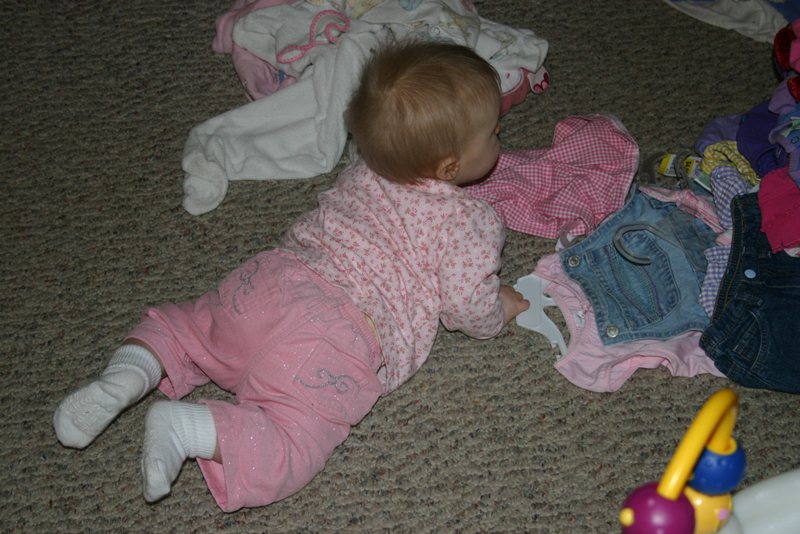 Picture 1276