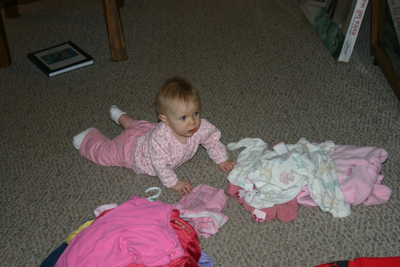 Picture 1277