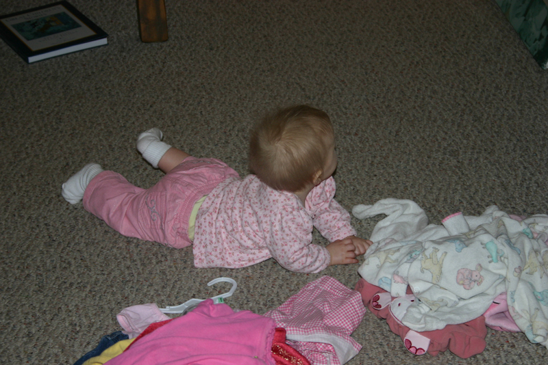 Picture 1278