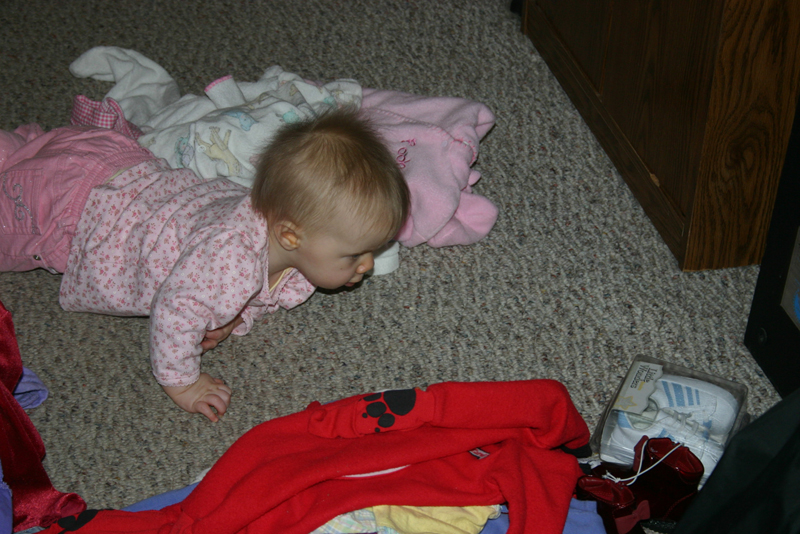 Picture 1281