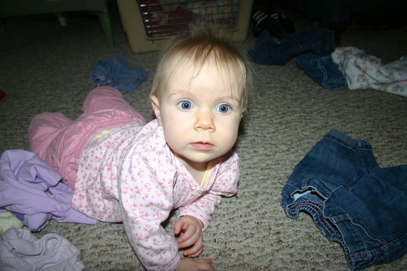 Picture 1292