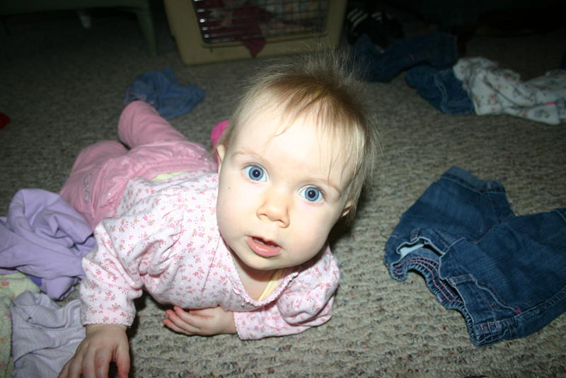 Picture 1293